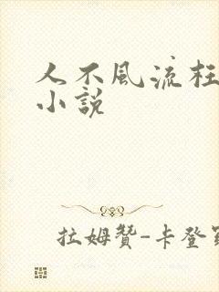 人不风流枉少年小说封面