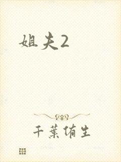 姐夫2