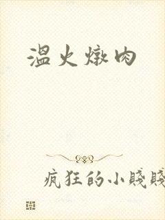温火炖肉