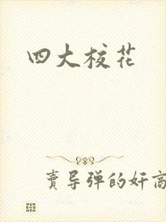 四大校花封面