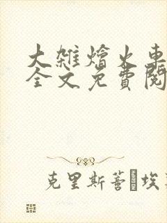 大杂烩火车小说全文免费阅读