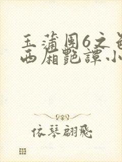 玉蒲团6之色情西厢艳谭小说封面