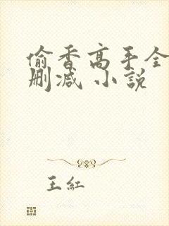 偷香高手全文无删减 小说封面