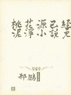 桃花源已经一片泥泞小说免费封面