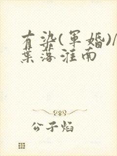 有染(军婚)/叶落淮南