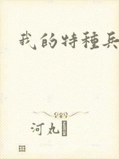 我的特种兵男友