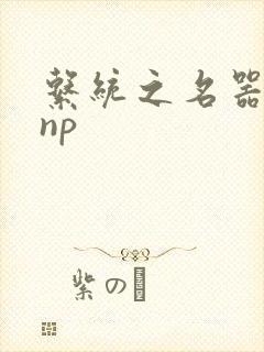 系统之名器攻略np