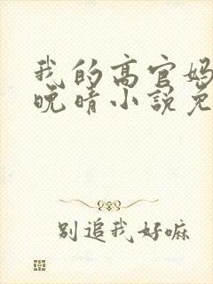 我的高官妈妈苏晚晴小说免费阅读