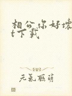 相公你好坏txt下载