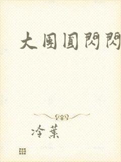 大团圆闪闪发光