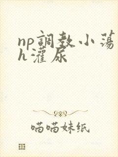 np调教小荡货h灌尿