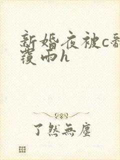 新婚夜被c翻云覆雨h