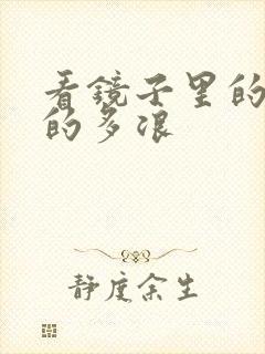 看镜子里的你叫的多浪