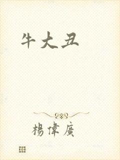 牛大丑封面