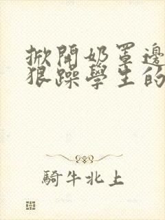 掀开奶罩边躁狠狠躁学生的小文字