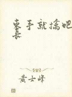 束手就擒吧韩队长