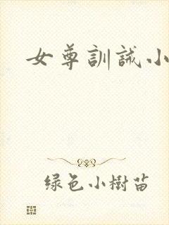 女尊训诫小说
