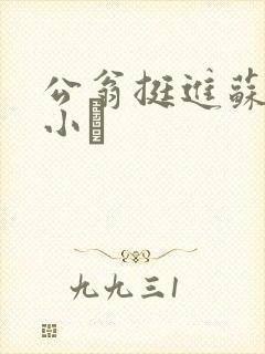 公翁挺进苏玥的小泬