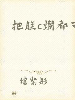 把朕c烂都可以封面