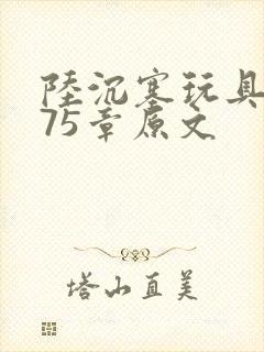 陆沉塞玩具高速75章原文封面