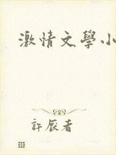 激情文学小说封面