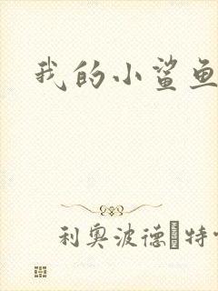我的小鲨鱼