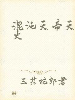 混沌天帝天地大火