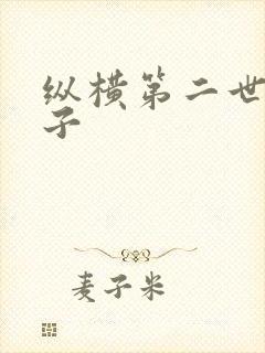 纵横第二世界宽子封面
