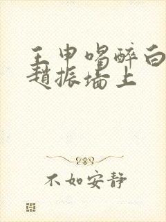 王申喝醉白洁被赵振墙上