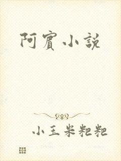 阿宾小说