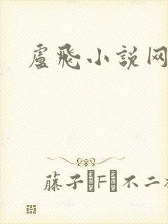 卢飞小说网封面