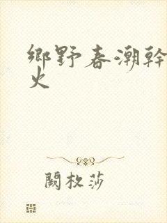 乡野春潮干柴烈火封面