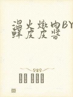 温火炖肉BY海鲜皮皮酱