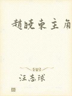 赵晓东主角小说