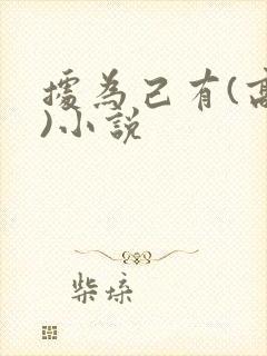 据为己有(高干)小说