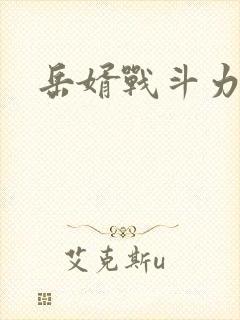 岳婿战斗力封面