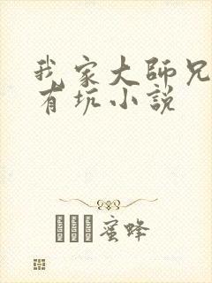 我家大师兄脑子有坑小说