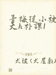 青梅从小被c到大h补课1