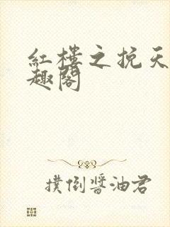 红楼之挽天倾笔趣阁