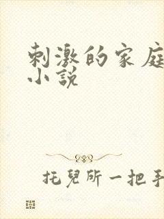 刺激的家庭乱仑小说