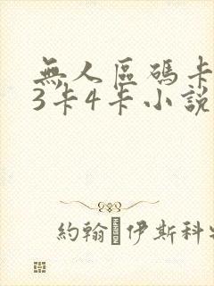 无人区码卡二卡3卡4卡小说