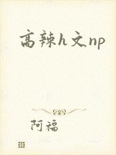 高辣h文np