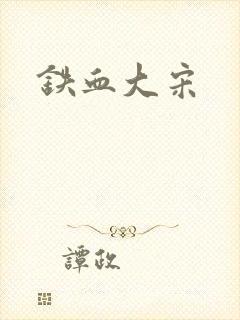 铁血大宋封面
