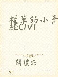 校草的小青梅不经C1V1