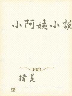 小阿姨小说