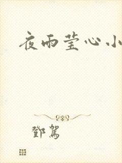 夜雨莹心小说