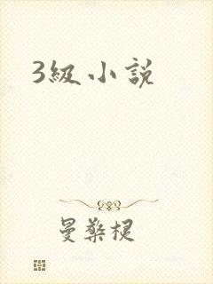 3级小说