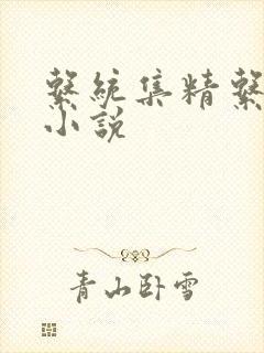 系统集精系统 小说