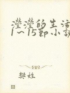 滢滢的生活日记1～15节小说封面
