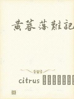 黄蓉落难记阅读